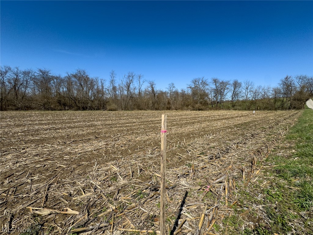 0 Lonesome Road Thornville, OH 43076 - Photo 4 of 31