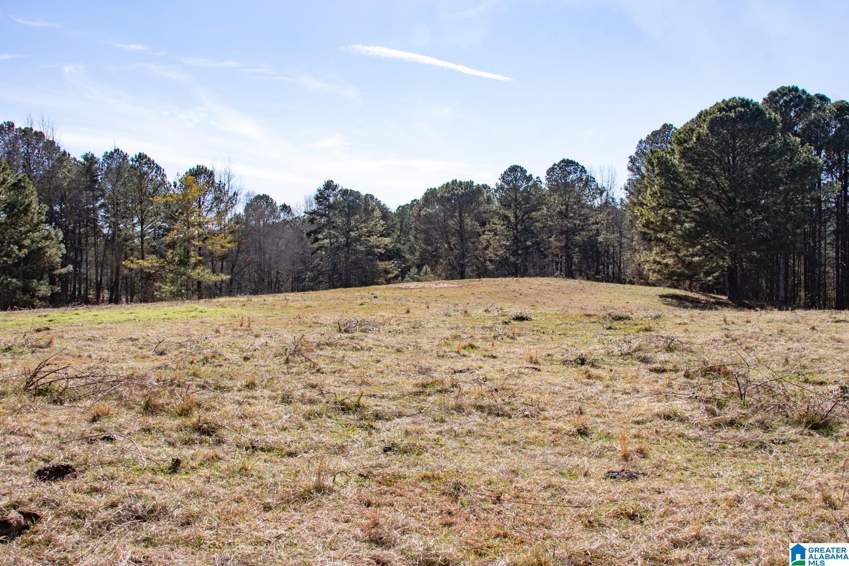 3081 Barfield Fire Department Road Lineville, AL 36266 - Photo 37 of 50