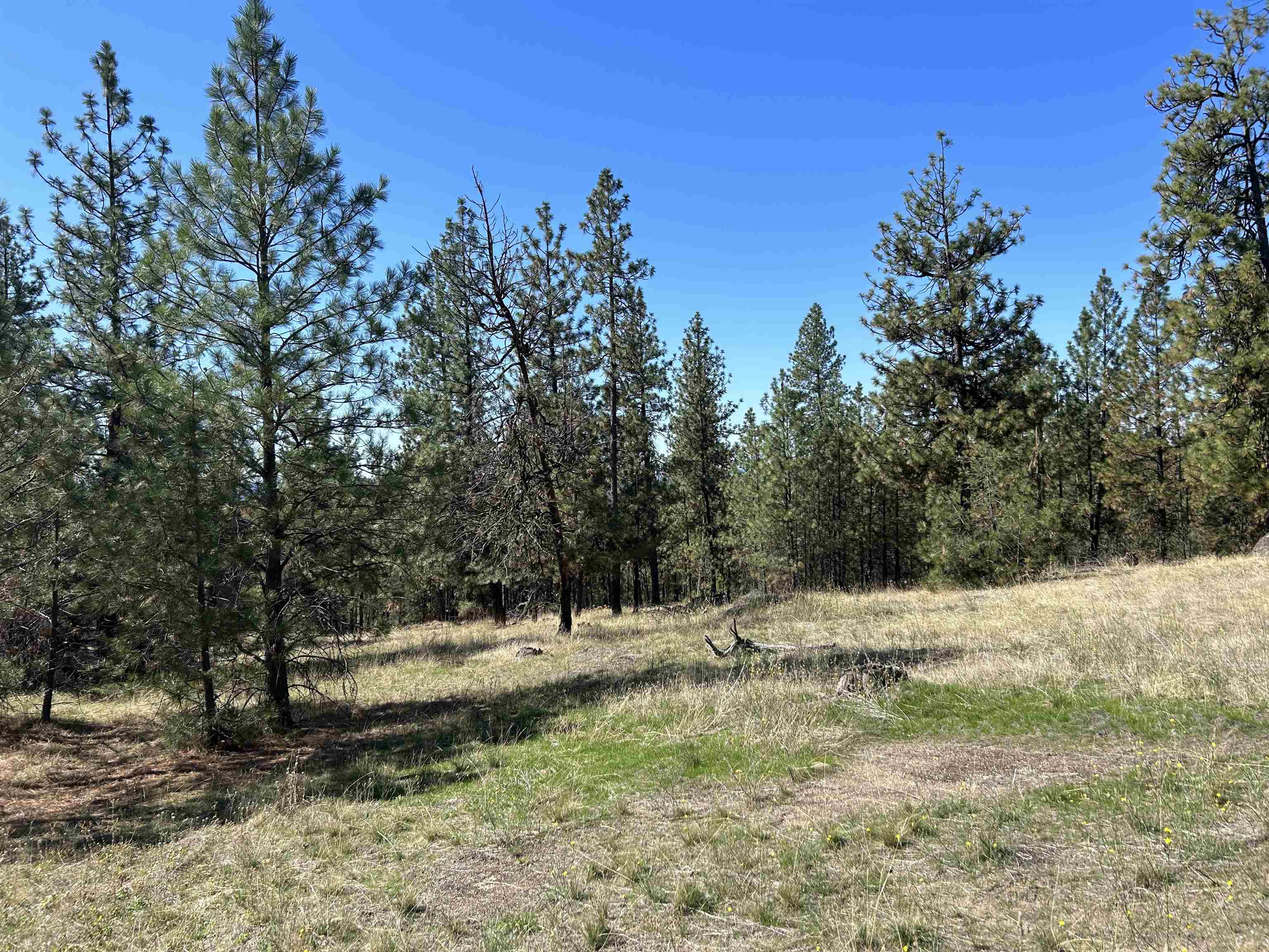 Nna Corkscrew Canyon Road Tumtum, WA 99034 - Photo 6 of 41 Gallery Image 6