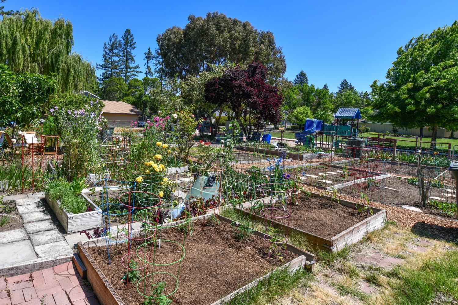 3007 Loma Court Santa Rosa, CA 95405 - Photo 40 of 43 Community garden area