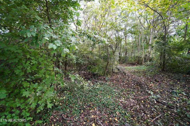 $89,000 | 14-15 West View Drive, Strawberry Plains, TN 37871