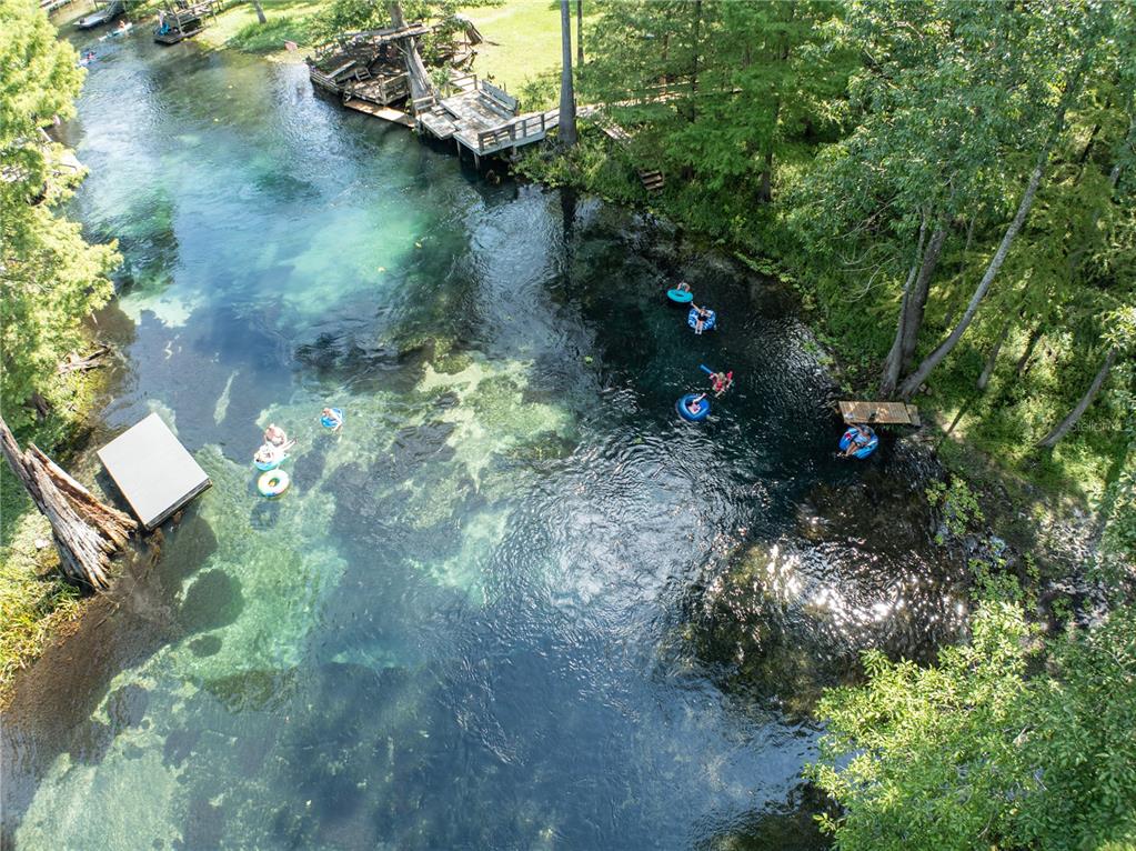 3964 288th Street Branford, FL 32008 - Photo 37 of 37 a view of a yard