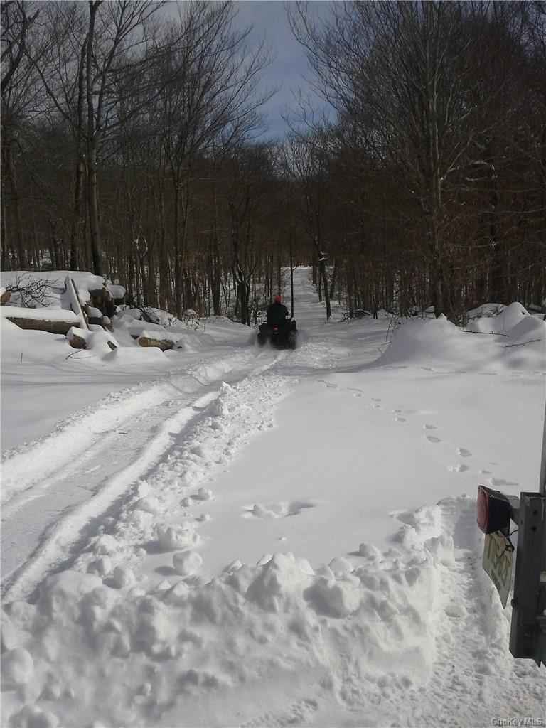 Shandelee Road Livingston Manor, NY 12758 - Photo 8 of 11 a view of snow on the side of road