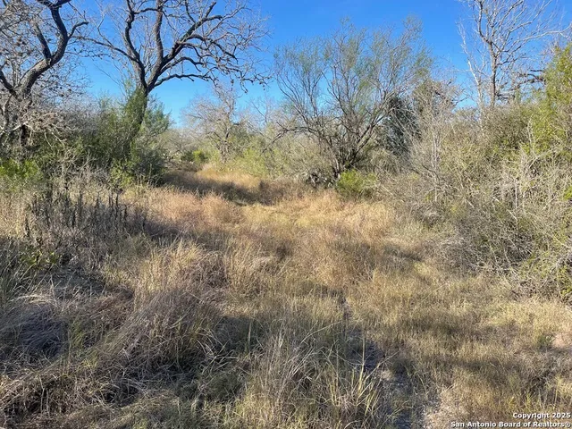 a backyard of a house with large trees and plants
