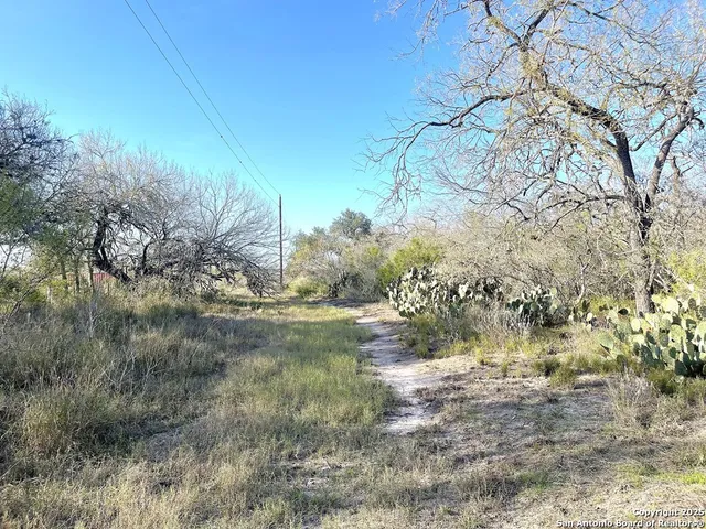 a view of a yard with a tree