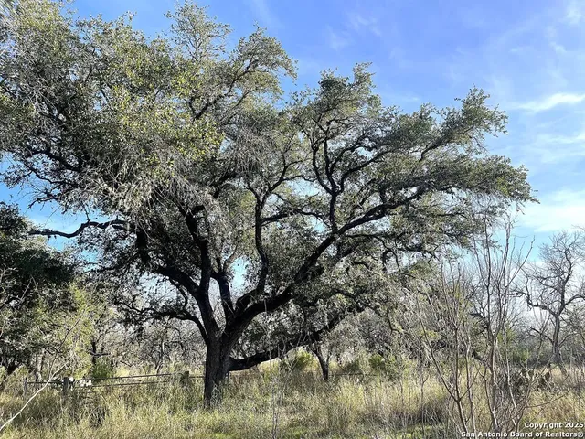 a house view with swimming pool