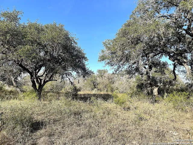 a view of a yard with trees in the background