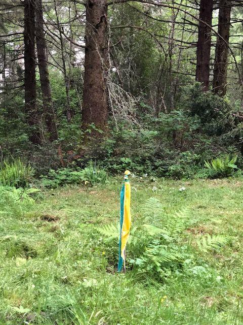 0 Splinter Lane Arcata, CA 95521 - Photo 6 of 15