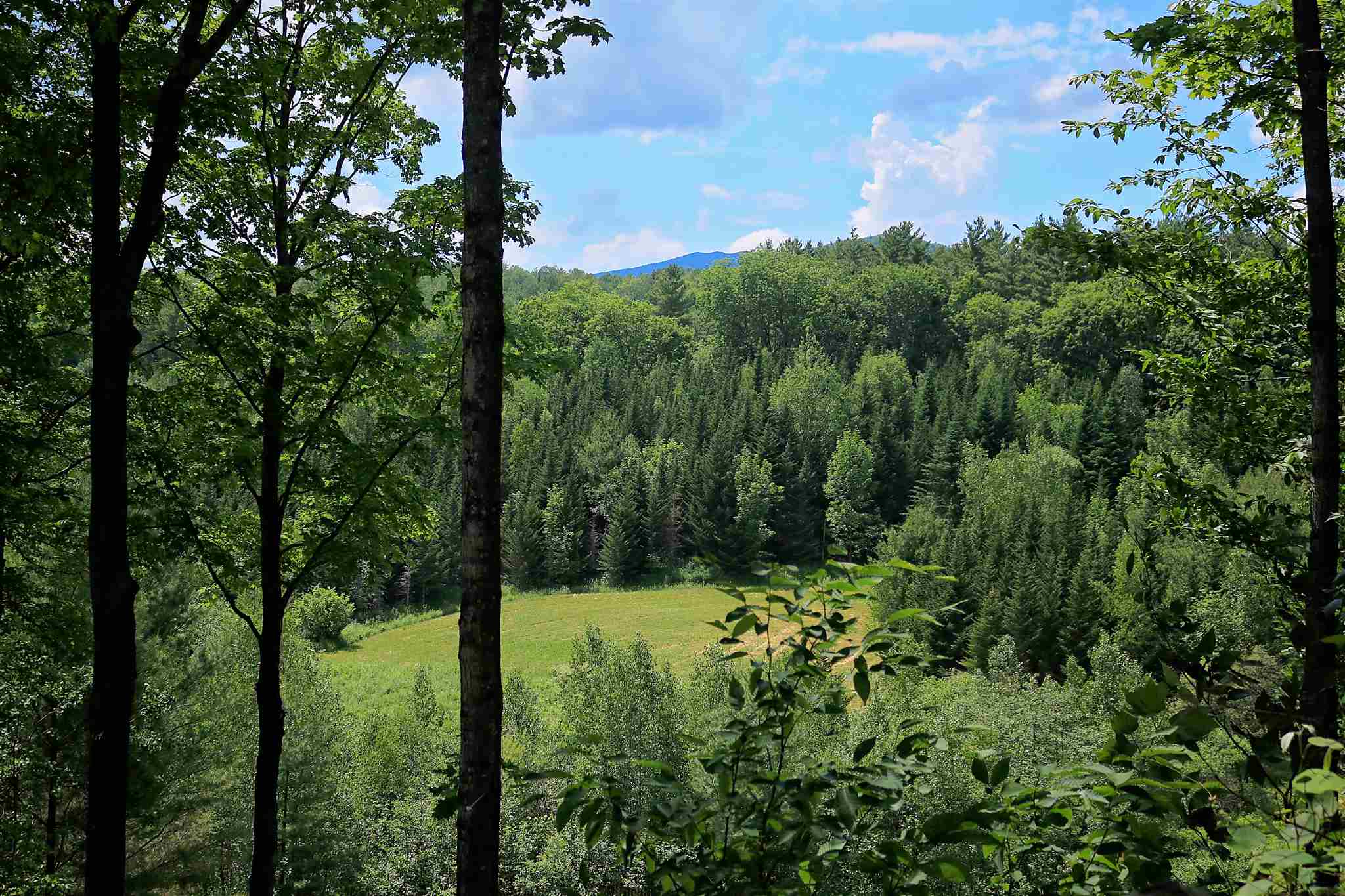 47 Fontaine Hill Road, Unit 1 Morristown, VT 05661 - Photo 18 of 39