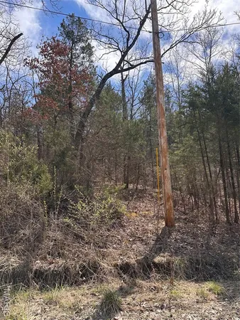 $40,000 | 2172 Lake Park Trail, De Soto, MO 63020