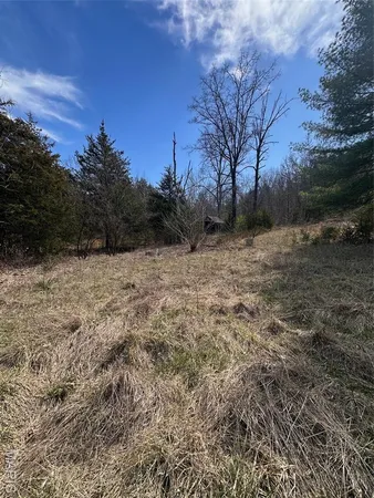 $40,000 | 2172 Lake Park Trail, De Soto, MO 63020