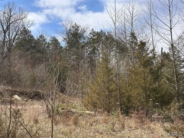 $40,000 | 2172 Lake Park Trail, De Soto, MO 63020