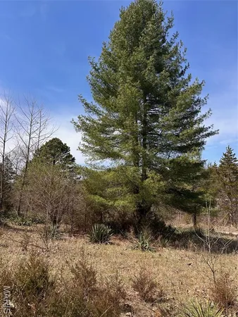 $40,000 | 2172 Lake Park Trail, De Soto, MO 63020