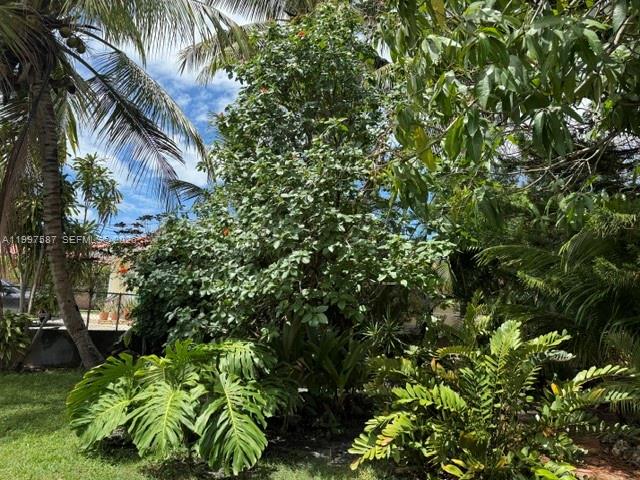 2953 Southwest 18th Street Miami, FL 33145 - Photo 12 of 17