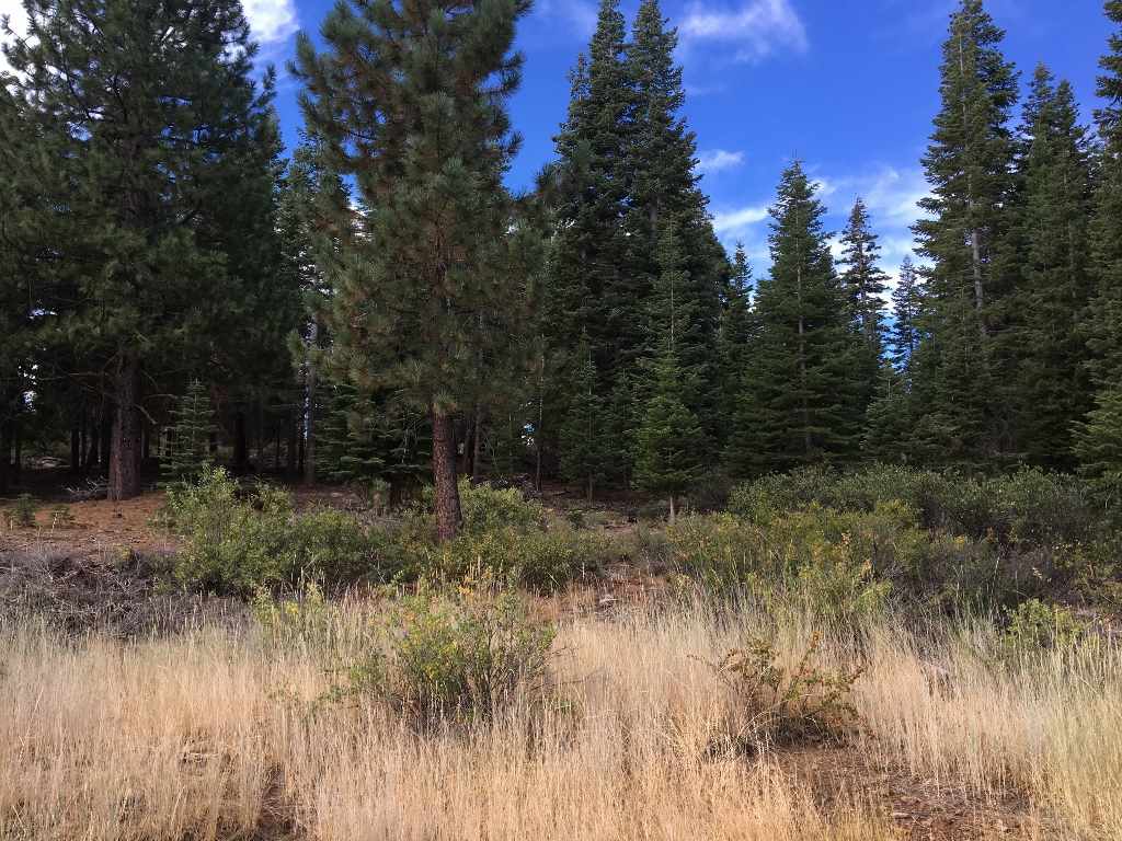 11140 Rancho View Court Truckee, CA 96161 - Photo 10 of 14 Gallery Image 10
