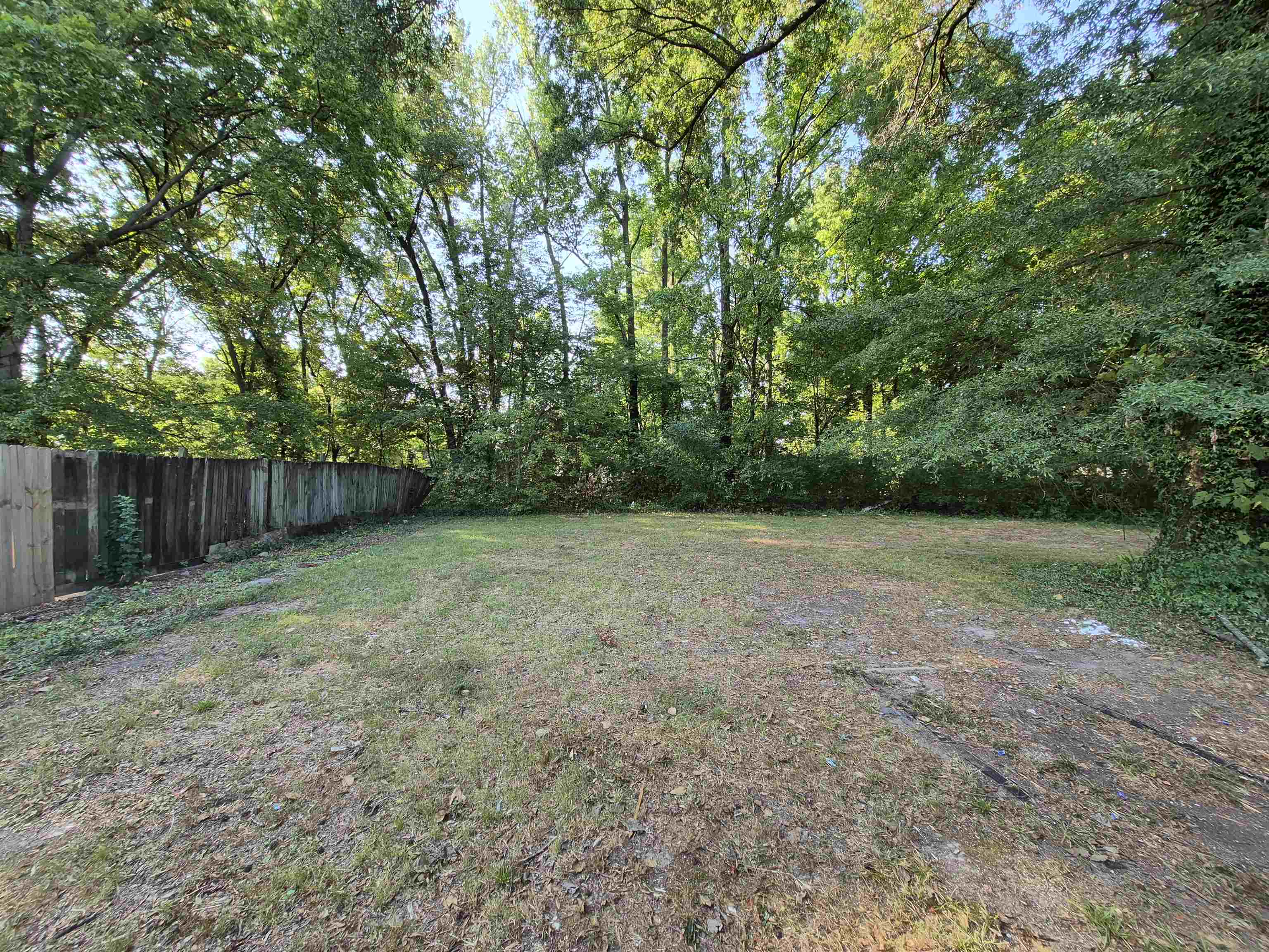 3449 Tutwiler Avenue, Unit 3449 Memphis, TN 38122 - Photo 8 of 10 a view of a yard with a tree