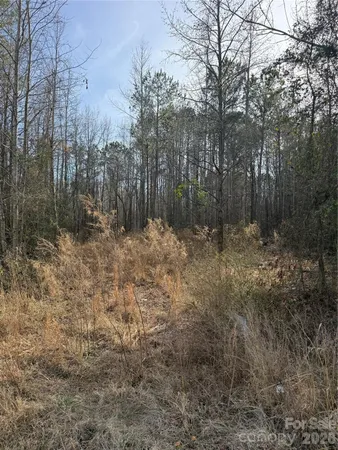 a view of outdoor space and trees