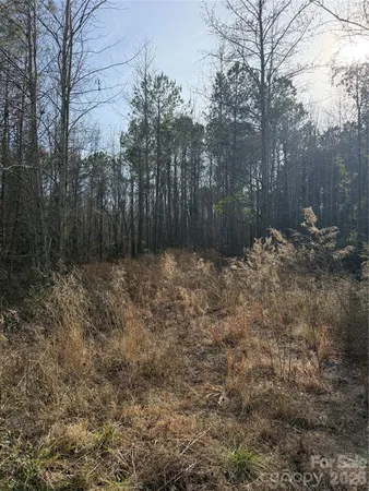 $49,500 | 364 Longhorn Lane, Cheraw, SC 29520