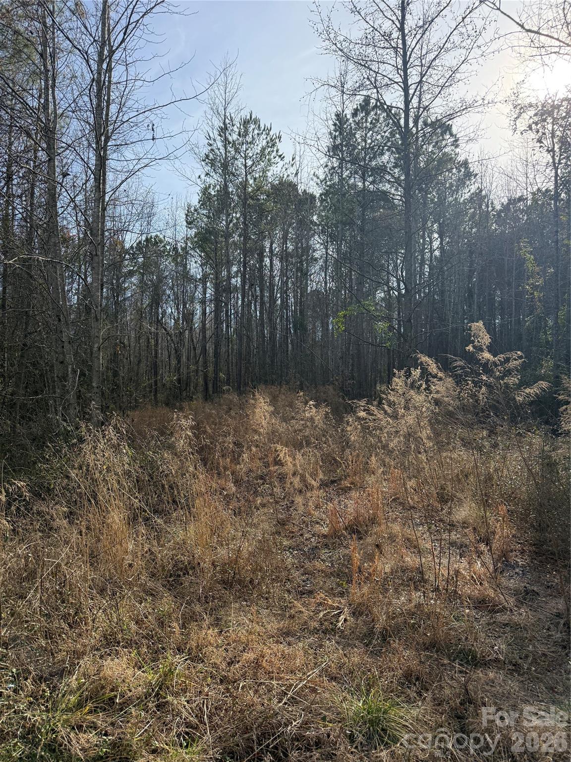 364 Longhorn Lane Cheraw, SC 29520 - Photo 2 of 2