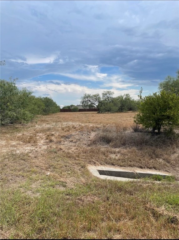 0 Fm 3376 Alice, TX 78332 - Photo 2 of 2 a view of a lake view with beach