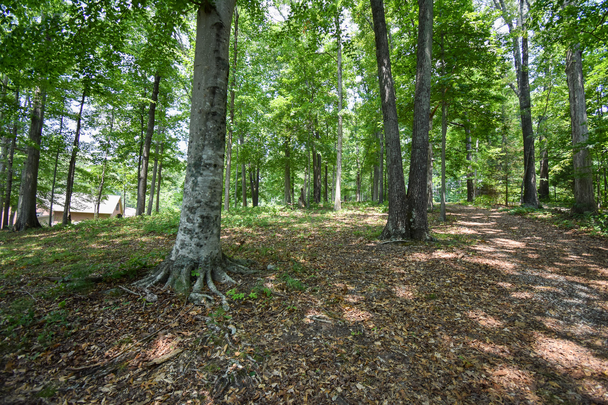 210 Woodland Drive Rutledge, TN 37861 - Photo 31 of 32 DSC_0836