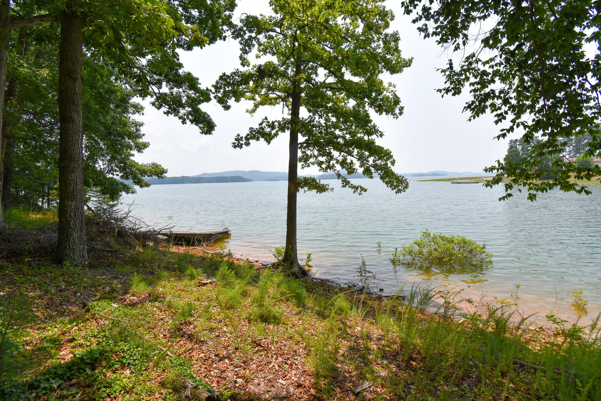 210 Woodland Drive Rutledge, TN 37861 - Photo 7 of 32 DSC_0807