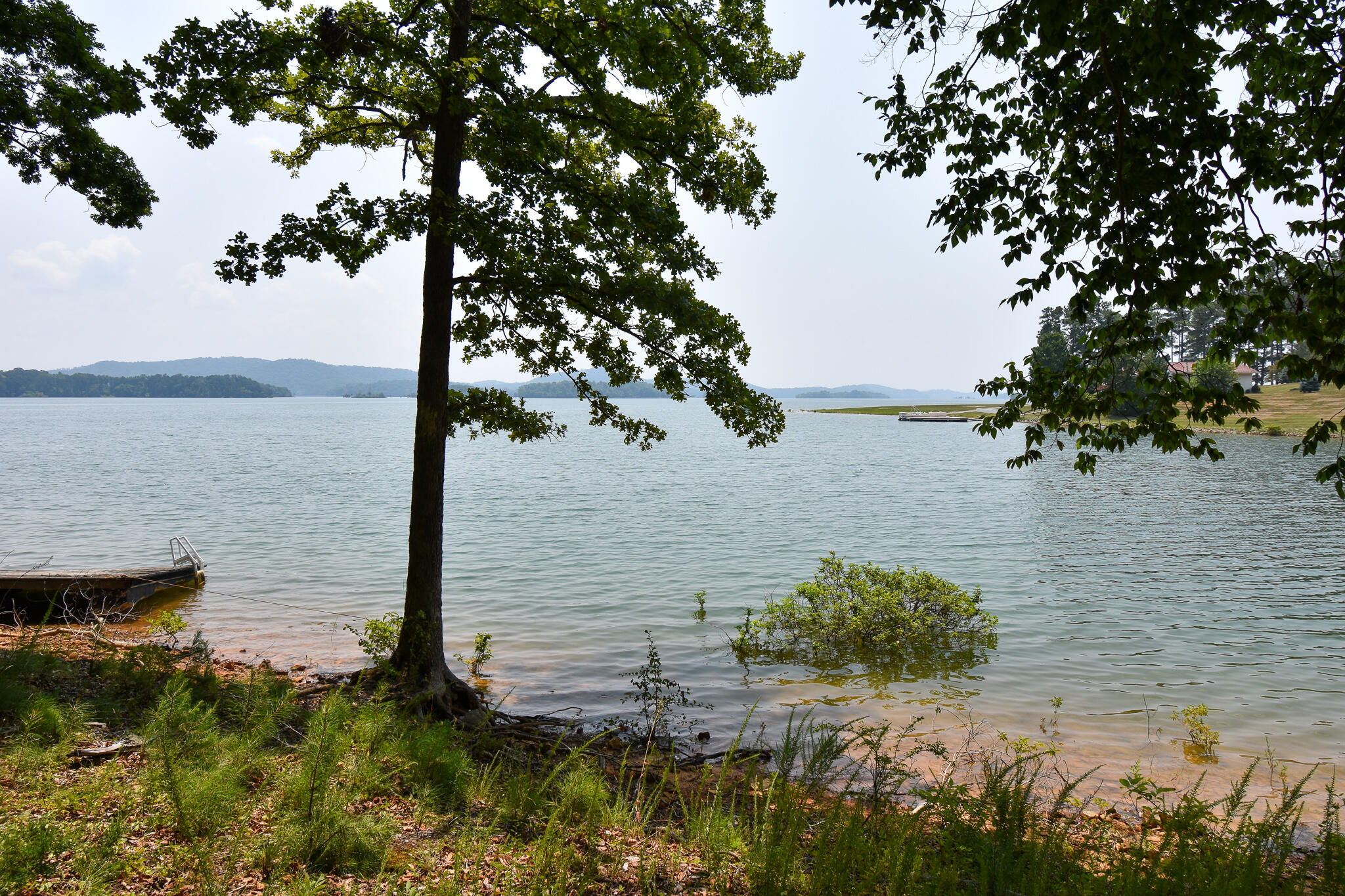 210 Woodland Drive Rutledge, TN 37861 - Photo 8 of 32 DSC_0808