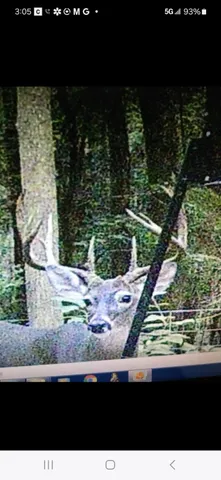 a kitchen with a refrigerator a stove a sink dishwasher and a dining table with wooden floor