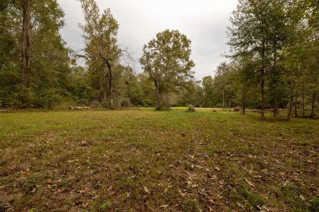 a bed room with a bed and a dresser