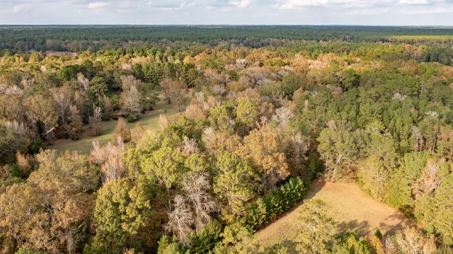 $800,000 | 701 Ira Denson Road, Coldspring, TX 77331