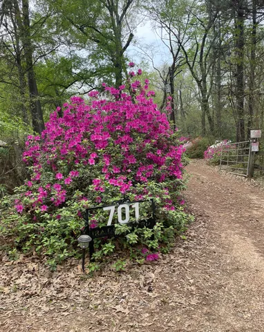a view of a field with an outdoor space