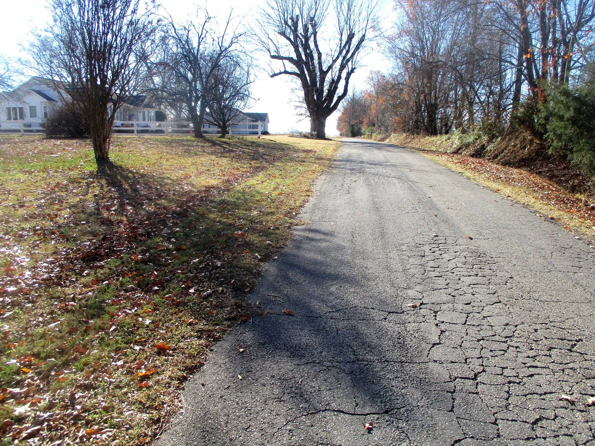 418 Monsanto Road Bells, TN 38006 - Photo 8 of 22 Photo 8