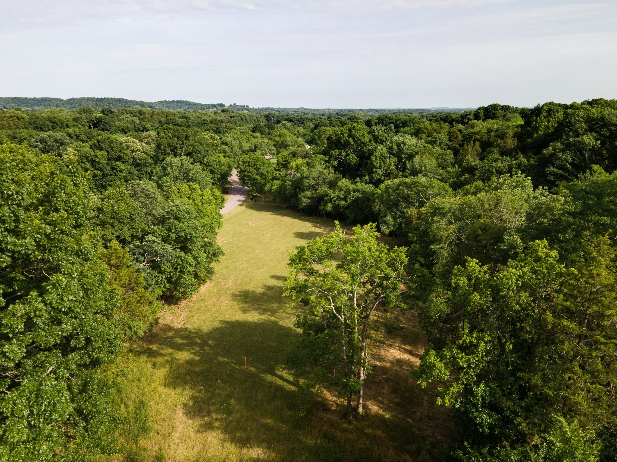 0 Wallace Road Gallatin, TN 37066 - Photo 3 of 13 a view of a lake from a forest