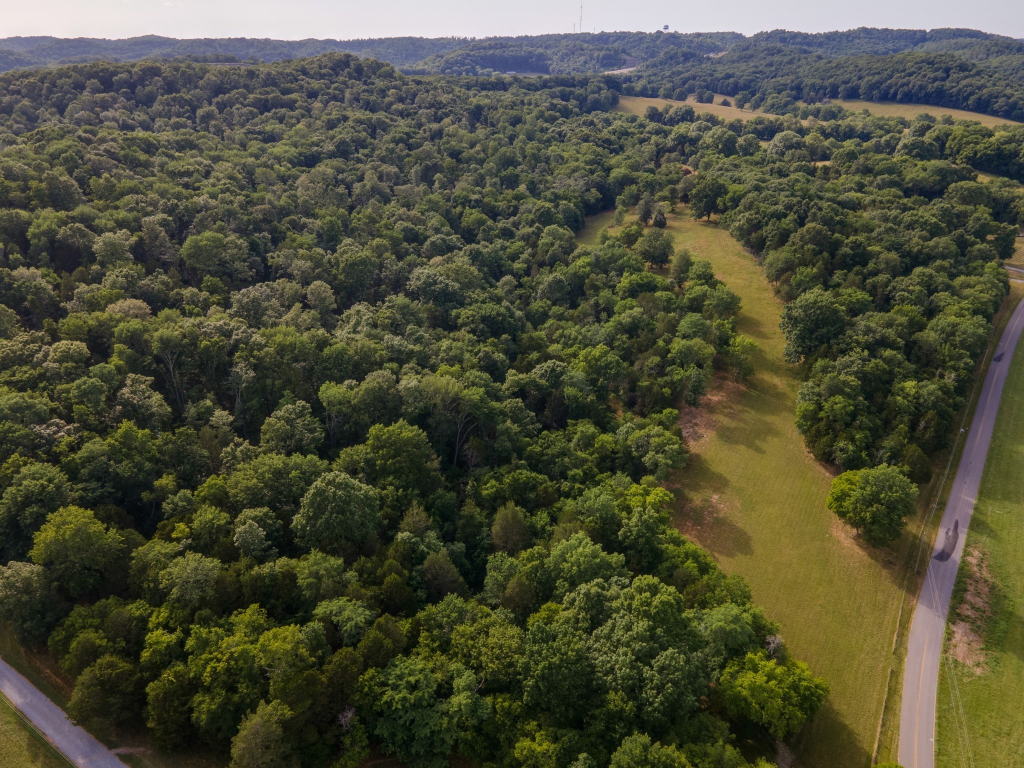 0 Wallace Road Gallatin, TN 37066 - Photo 8 of 13 a view of a lush green field