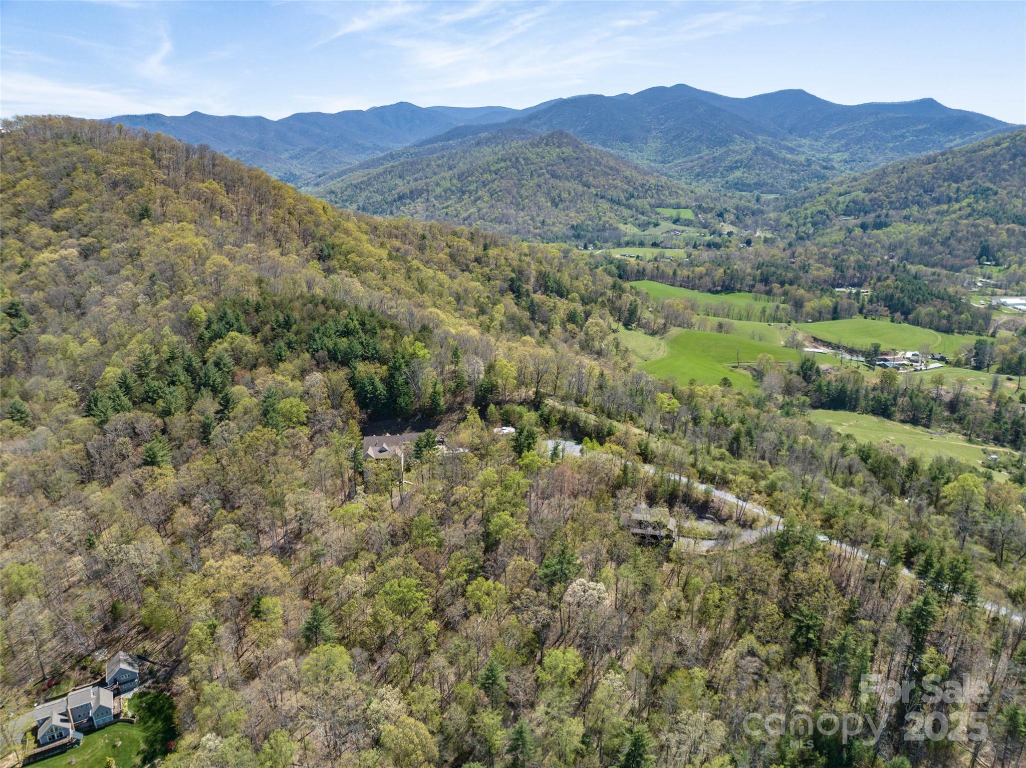 88 Courseview Drive, Unit 239 Weaverville, NC 28787 - Photo 12 of 16 a view of a lush green hillside and houses
