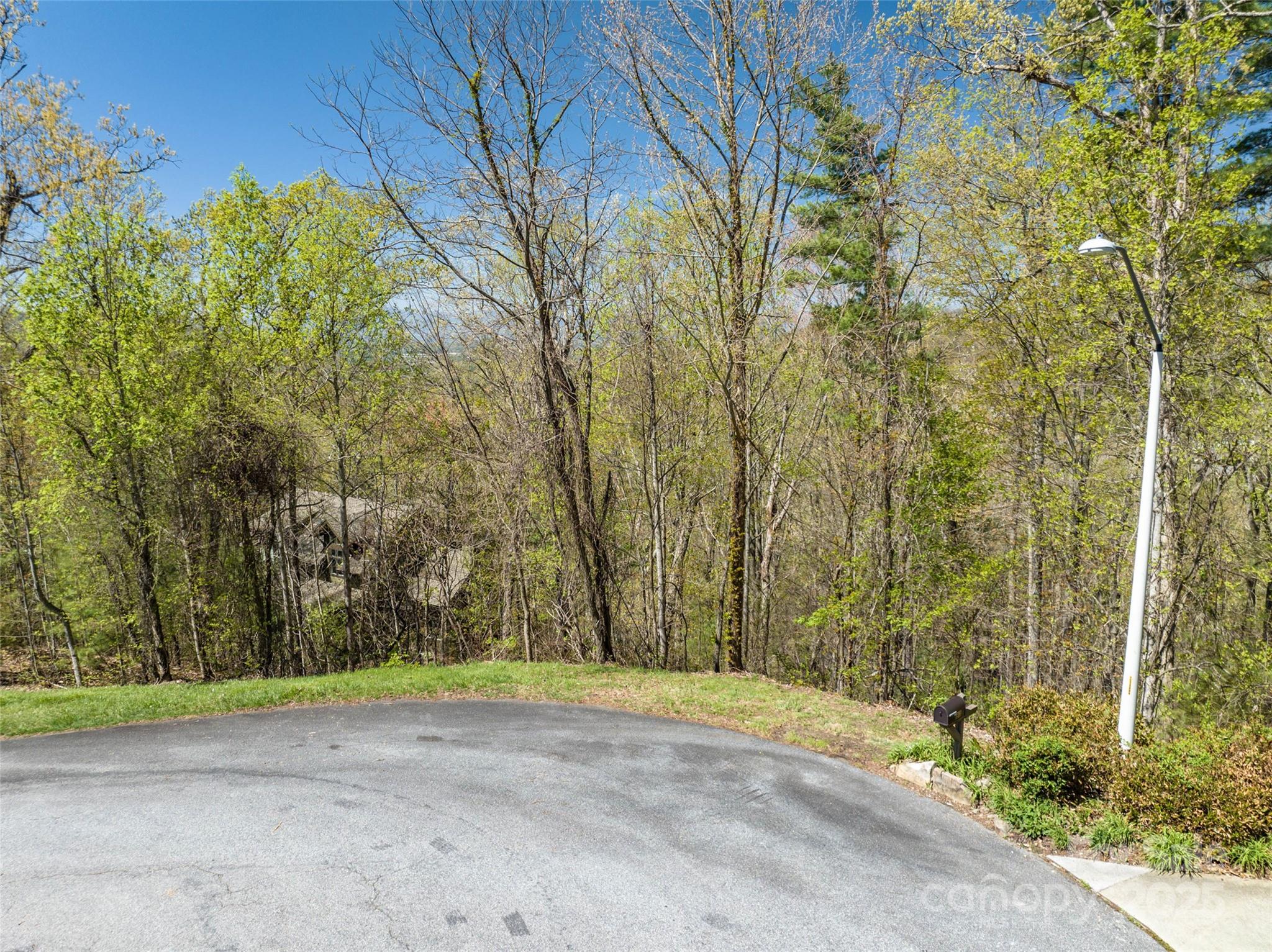 88 Courseview Drive, Unit 239 Weaverville, NC 28787 - Photo 13 of 16 a view of a backyard with plants and trees