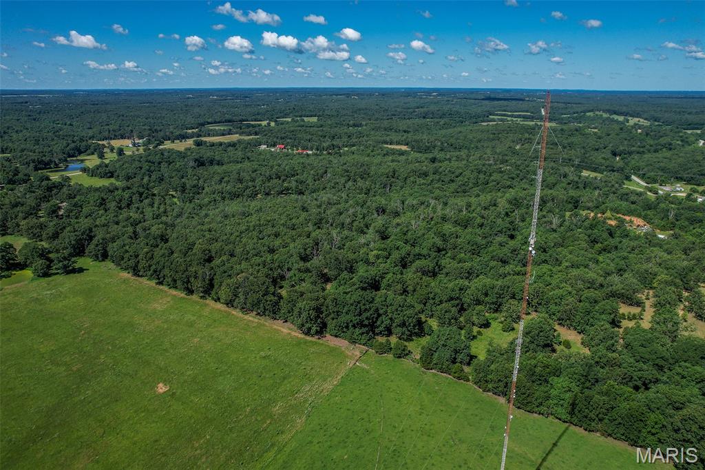 15161 Edison Road Lebanon, MO 65536 - Photo 66 of 86