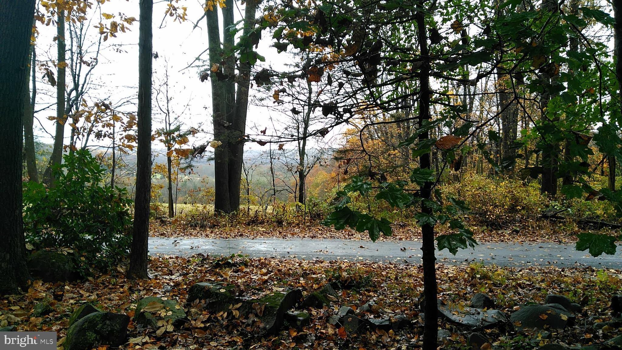 106 Northside Road Elverson, PA 19520 - Photo 8 of 36 Street View