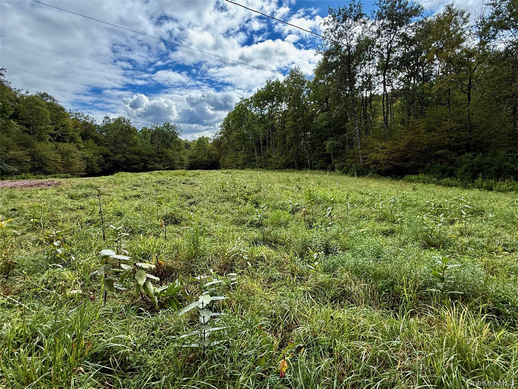 216 Neer Road Long Eddy, NY 12760 - Photo 22 of 48