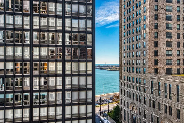 $249,900 | 260 East Chestnut Street, Unit 1111, Chicago, IL 60611