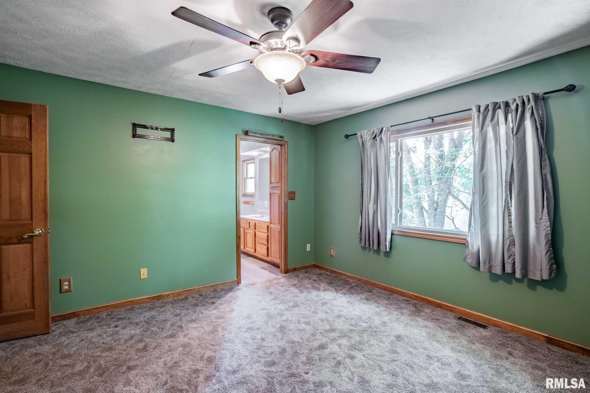 541 Dallas Road Murphysboro, IL 62966 - Photo 30 of 78