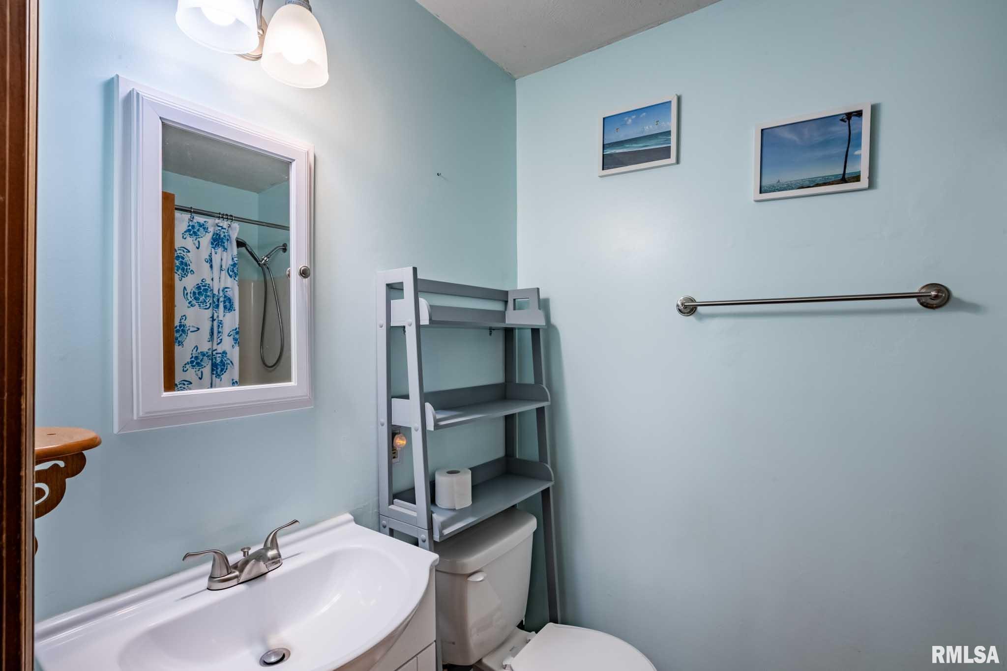 541 Dallas Road Murphysboro, IL 62966 - Photo 35 of 78