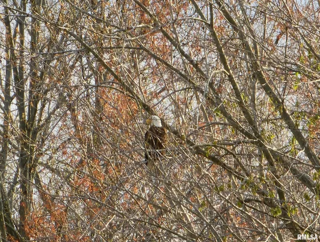 $300,000 | 541 Dallas Road, Murphysboro, IL 62966