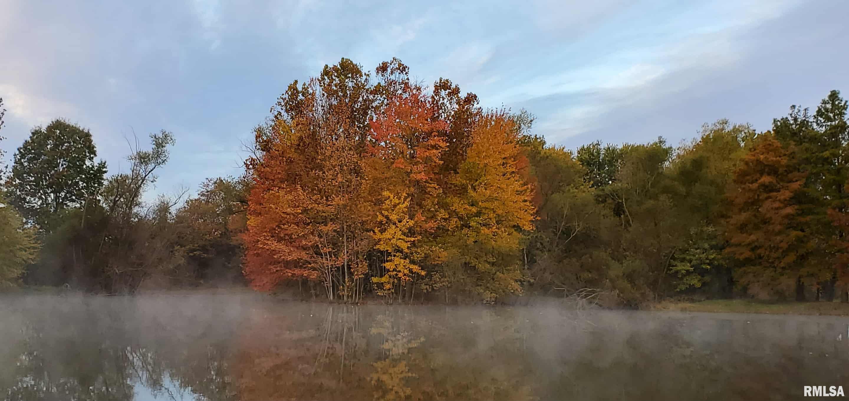 541 Dallas Road Murphysboro, IL 62966 - Photo 74 of 78