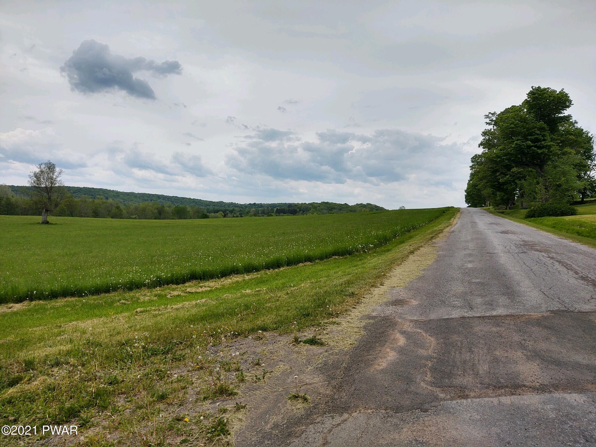 Joslyn Road Guilford, NY 13780 - Photo 7 of 11