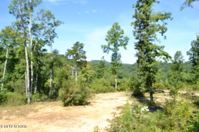 9.85-ac Rock Springs Road Celina, TN 38551 - Photo 1 of 48 USE AS MAIN