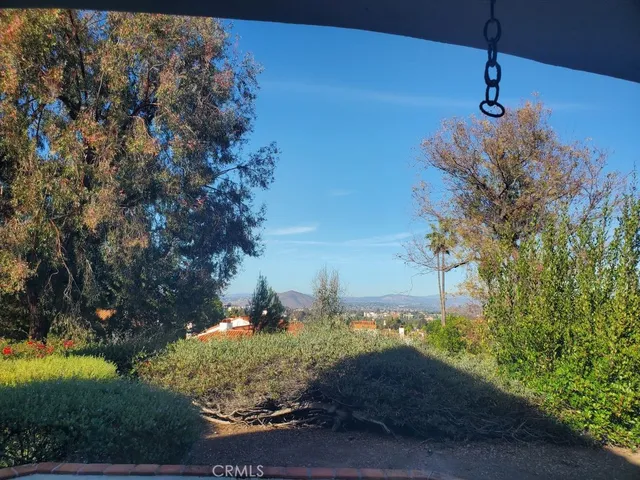 a view of a tree in a yard