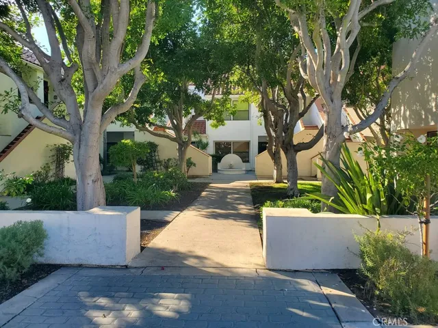 a view of a yard with plants and a large tree