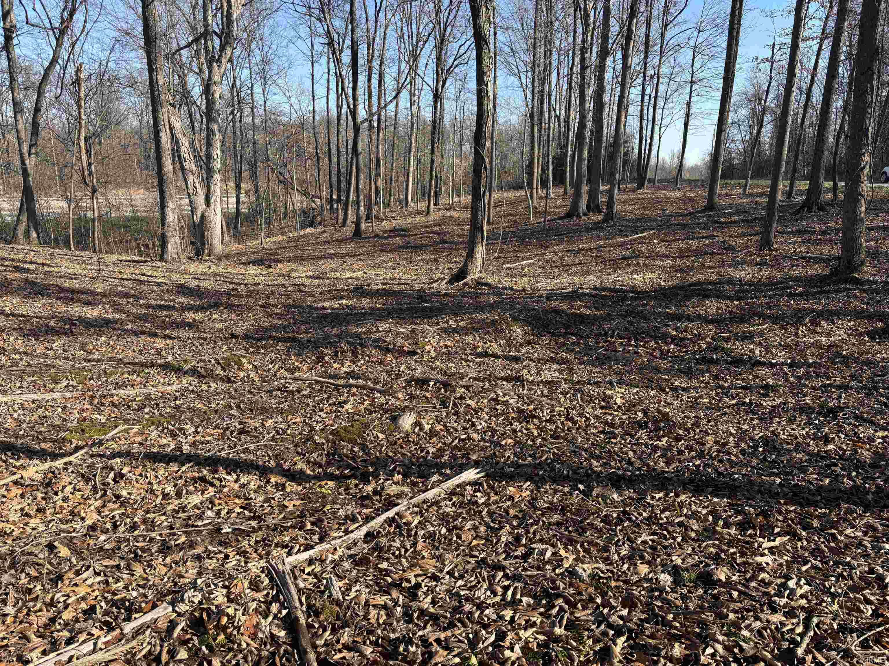 0 Taylor Ridge Road Bloomfield, IN 47424 - Photo 4 of 14