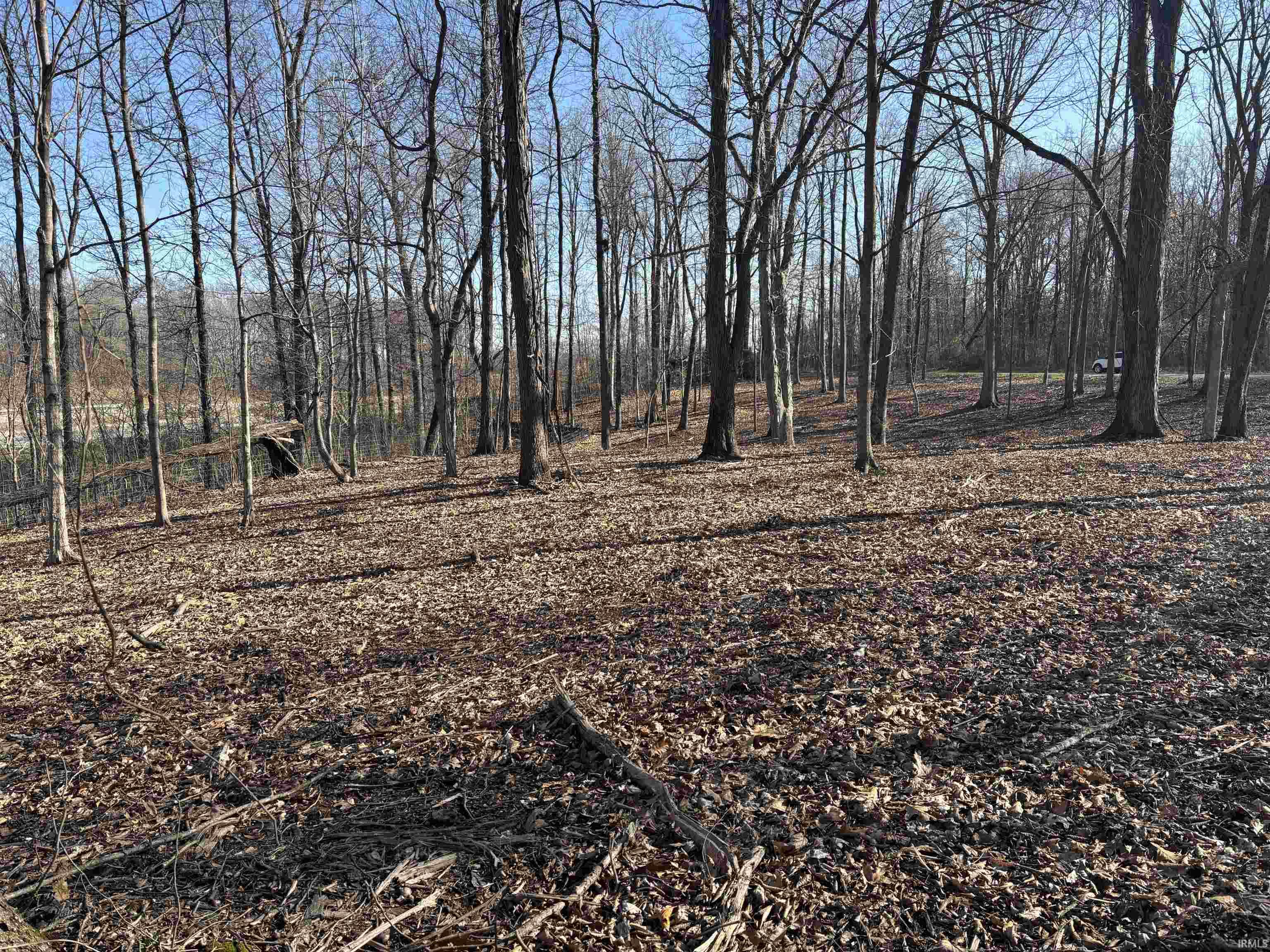 0 Taylor Ridge Road Bloomfield, IN 47424 - Photo 5 of 14